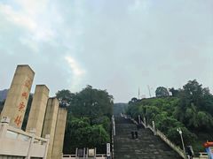 -铁山坪森林公园