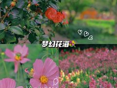 -松山湖南湖湾露营营地