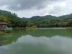 -广州白江湖森林公园