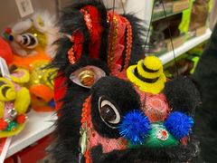 -南宫五洲植物乐园