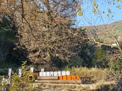 -塔川景区