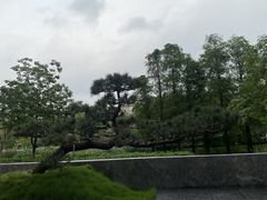 -顺峰山公园