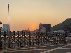 -招商蛇口邮轮母港(观光客运)
