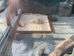 -宁波野生动物园