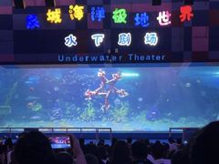 -泉城欧乐堡海洋极地世界