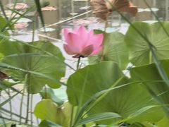 -木塔寺遗址生态公园
