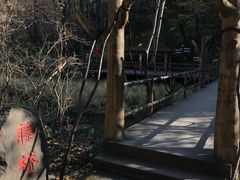 -茅兰沟国家森林公园