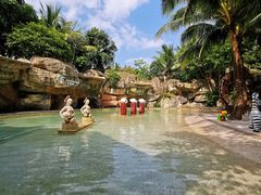 -海口观澜湖火山温泉谷