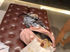 -威蒂斯国际健身游泳会所(东莞庄路店)