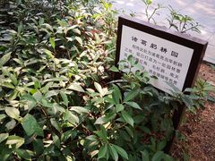 -南阳卧龙岗武侯祠