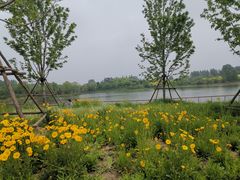 -东郊湿地公园