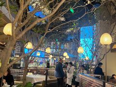 -桂满陇·海市蜃楼·黑金(国金店)