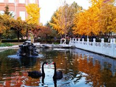 -北京市海淀外国语实验学校