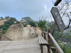-大岭沟猕猴桃谷风景区