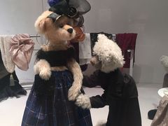 -济州岛泰迪熊博物馆