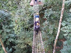 -西双版纳原始森林公园