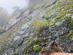 -秦岭终南山世界地质公园翠华山景区