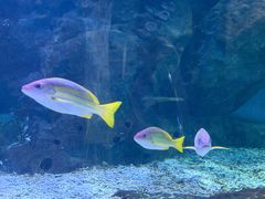 -海合安武汉极地海洋公园