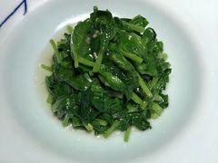 清炒豌豆尖儿-晟永興烤鸭店(五道口店)