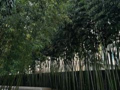 -苏州本色美术馆