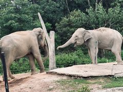 -清迈夜间动物园