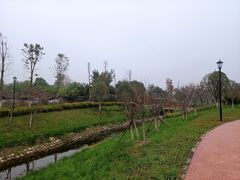 -三圣花乡旅游区