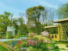 -上海共青森林公园