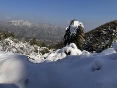 -莫干山风景区