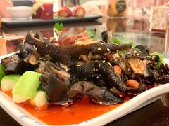 凉拌无骨黑鸡脚-京华世纪酒店·潮苑大酒楼(益华百货店)