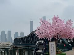 -武汉知音号