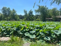 -承德避暑山庄景区