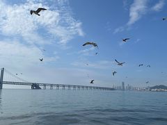 -日月昇渔家菜·海肠捞饭·大连海鲜(星海公园店)
