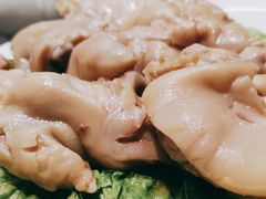-丁老爷子苏香圆