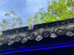 -丰都鬼城名山景区