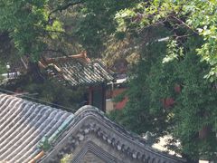 -潭柘寺景区