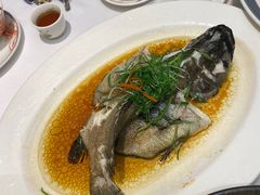 -稻香酒家·34年老字号·港式粤菜(侨光店)
