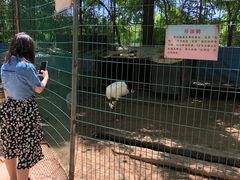 -廊坊市自然公园