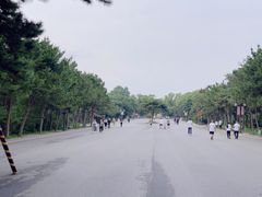 -北陵公园