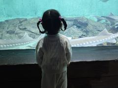 -太平洋海底世界