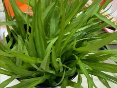 -福合埕牛肉丸(福平路店)