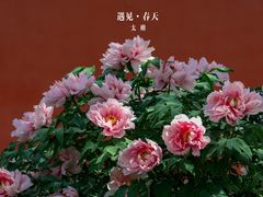 -北京市劳动人民文化宫