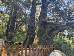 -剑门关风景区
