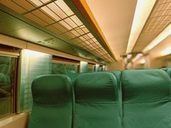 -龙阳路磁悬浮列车总站-停车场