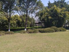 -河泥荡文化公园