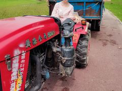 -黄海国家森林公园