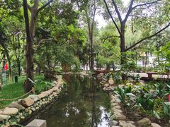 -成都市活水公园