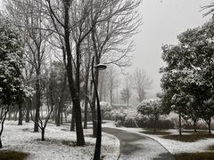 -洨河生态公园