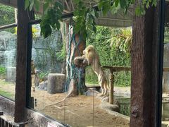 -清迈夜间动物园