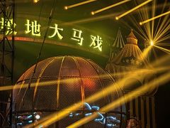-海合安天津极地海洋公园