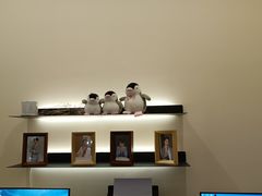 -企鹅照相馆(岗顶天娱店)